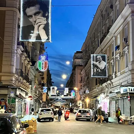 The Nicole's House *